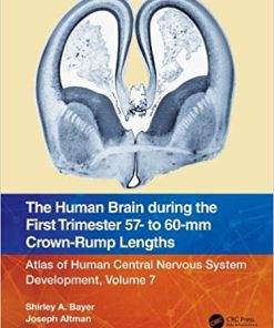 The Human Brain during the First Trimester 57- to 60-mm Crown-Rump Lengths: Atlas of Human Central Nervous System Development, Volume 7 (PDF)