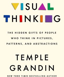 Visual Thinking: The Hidden Gifts of People Who Think in Pictures, Patterns, and Abstractions (EPUB)