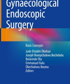 Gynaecological Endoscopic Surgery: Basic Concepts (EPUB)