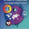 International Examples of Lean in Healthcare (EPUB)