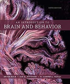 An Introduction to Brain and Behavior, Sixth Edition (EPUB)