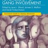 Psychology of Gang Involvement (Routledge Studies in Criminal Behaviour) (EPUB)