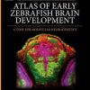 Atlas of Early Zebrafish Brain Development: A Tool for Molecular Neurogenetics