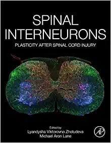 Spinal Interneurons: Plasticity after Spinal Cord Injury (EPUB)