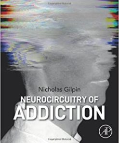 Neurocircuitry of Addiction (PDF)