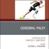 Cerebral Palsy, An Issue of Physical Medicine and Rehabilitation Clinics of North America (Volume 31-1) (The Clinics: Radiology, Volume 31-1) (PDF)