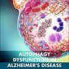 Autophagy Dysfunction in Alzheimer’s Disease and Dementia (PDF)