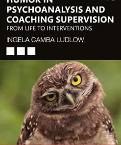 Humour in Psychoanalysis and Coaching Supervision (EPUB)