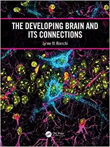 The Developing Brain and its Connections (PDF)