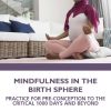 Mindfulness in the Birth Sphere (EPUB)