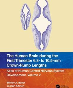 The Human Brain during the First Trimester 6.3- to 10.5-mm Crown-Rump Lengths: Atlas of Human Central Nervous System Development, Volume 2 (Atlas of Human Central Nervous System Development, 2) (PDF)