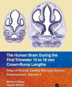 The Human Brain during the First Trimester 15- to 18-mm Crown-Rump Lengths: Atlas of Human Central Nervous System Development, Volume 3 (Atlas of Human Central Nervous System Development, 3) (PDF)