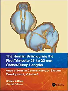 The Human Brain during the First Trimester 21- to 23-mm Crown-Rump Lengths: Atlas of Human Central Nervous System Development, Volume 4 (PDF)