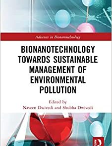 Bionanotechnology Towards Sustainable Management of Environmental Pollution (Advances in Bionanotechnology) (EPUB)