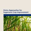 Omics Approaches for Sugarcane Crop Improvement (EPUB)