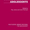 Social Work with Adolescents (EPUB)