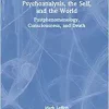 Psychoanalysis, the Self, and the World (EPUB)