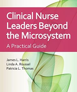Clinical Nurse Leaders Beyond the Microsystem: A Practical Guide, 4th Edition (PDF)