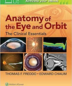 Anatomy of the Eye and Orbit: The Clinical Essentials (PDF)