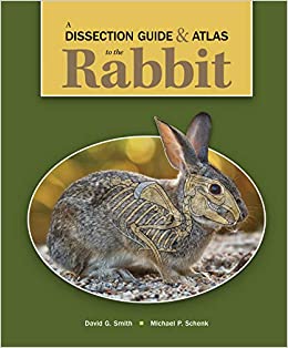 A Dissection Guide & Atlas to the Rabbit (PDF) A Dissection Guide & Atlas to the Rabbit (PDF)