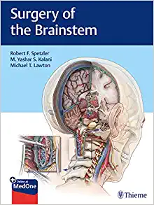 Surgery of the Brainstem (EPUB)