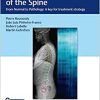 Sagittal Balance of the Spine: From Normal to Pathology: A Key for Treatment Strategy (EPUB)