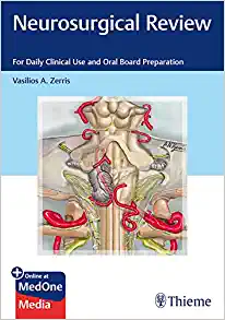 Neurosurgical Review: For Daily Clinical Use and Oral Board Preparation (EPUB)