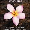 Transforming Trauma: A Drugless and Creative Path to Healing PTS and ACE (EPUB)