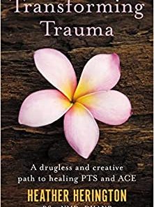 Transforming Trauma: A Drugless and Creative Path to Healing PTS and ACE (EPUB)