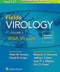 Fields Virology, Volume 3: RNA Viruses, 7th Edition (EPUB)