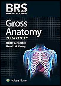 BRS Gross Anatomy (Board Review Series), 10th Edition (EPUB3)