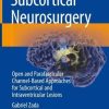 Subcortical Neurosurgery: Open and Parafascicular Channel-Based Approaches for Subcortical and Intraventricular Lesions (PDF)