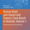 Human Brain and Spinal Cord Tumors: From Bench to Bedside. Volume 1 (EPUB)