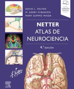 Netter. Atlas de neurociencia, 4 Edición (PDF)