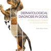 Dermatologic diagnosis in the dog. An approach based on skin patterns (EPUB)