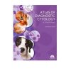 Atlas of Diagnostic Cytology in Small Animals (EPUB)