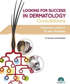 Looking for Success in Dermatology Consultations. Diagnostic Protocol for Skin Disorders (EPUB)