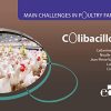 Main Challenges in Poultry Farming. Colibacillosis (EPUB) Main Challenges in Poultry Farming. Colibacillosis (EPUB)