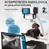 Atlas de interpretación radiológica en pequeños animales (2.ª Edición) (EPUB)