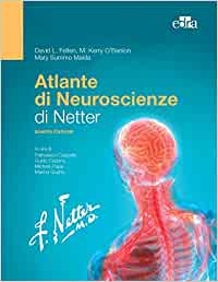 Atlante di neuroscienze di Netter, 4e (EPUB3)