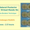 Fast Natural Posterior Fillings Virtual Hands On