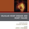 Heart Failure Clinics: Volume 19 (Issue 1 to Issue 4) 2023 PDF