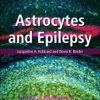 Astrocytes and Epilepsy