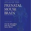 Atlas of the Prenatal Mouse Brain