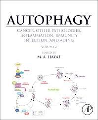 Autophagy: Cancer, Other Pathologies, Inflammation, Immunity, Infection, and Aging: Volume 8- Human Diseases