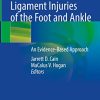 Tendon and Ligament Injuries of the Foot and Ankle: An Evidence-Based Approach (PDF)