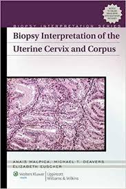 Biopsy Interpretation of the Uterine Cervix and Corpus (Biopsy Interpretation Series)