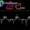 Mastering Left Ventricular Diastology – AllAboutUltrasound 2022 (Complete HTML)