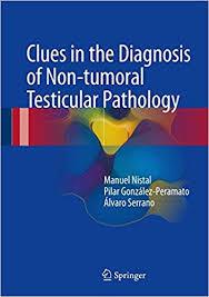 Clues in the Diagnosis of Non-tumoral Testicular Pathology 1st ed