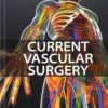 Current Vascular Surgery 2013 (Modern Trends in Vascular Surgery) (PDF)